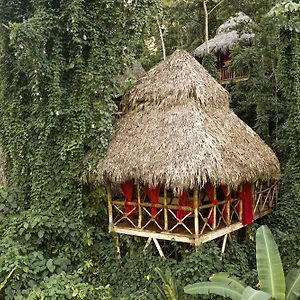 ** Station touristique Dominican Tree House Village République dominicaine